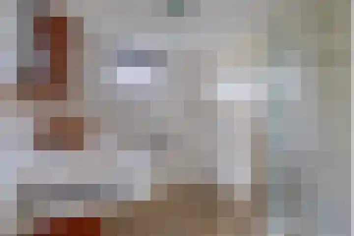 Dassenwissel 33 Winschoten thumbnail 19