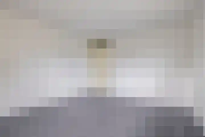 Dassenwissel 33 Winschoten thumbnail 22