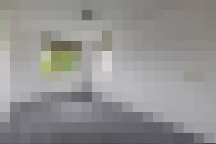 Dassenwissel 33 Winschoten thumbnail 23