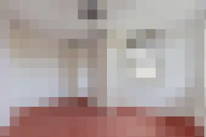 Dassenwissel 33 Winschoten thumbnail 25