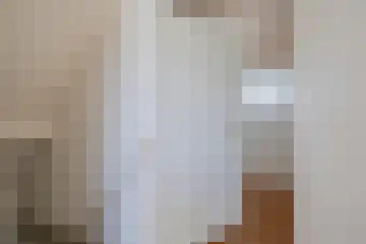 Dassenwissel 33 Winschoten thumbnail 27