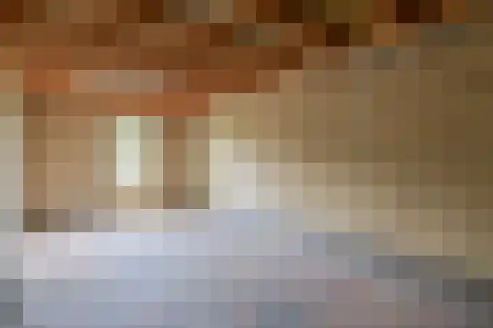 Dassenwissel 33 Winschoten thumbnail 33