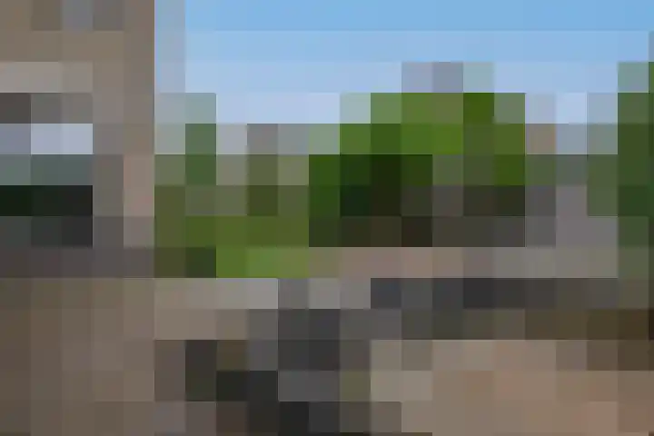 Dassenwissel 33 Winschoten thumbnail 36