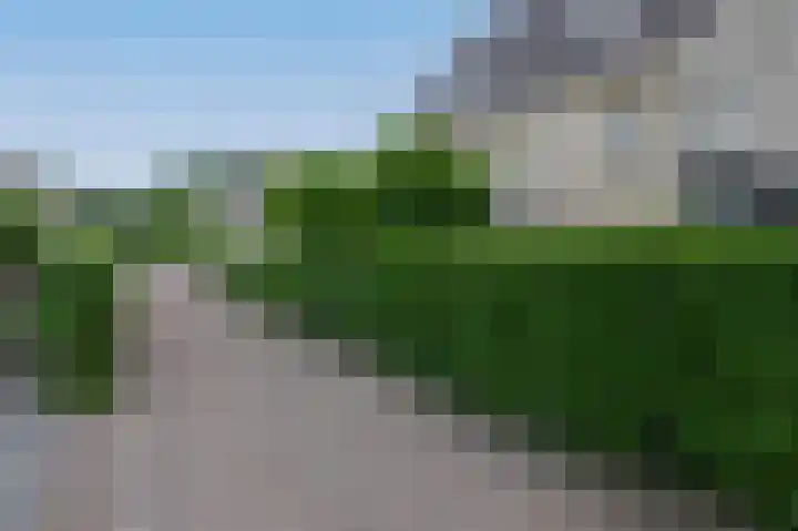 Dassenwissel 33 Winschoten thumbnail 40