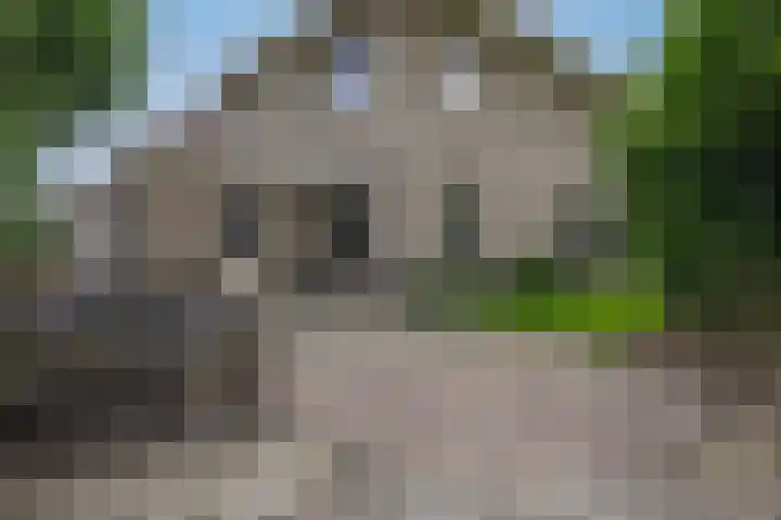 Dassenwissel 33 Winschoten thumbnail 41