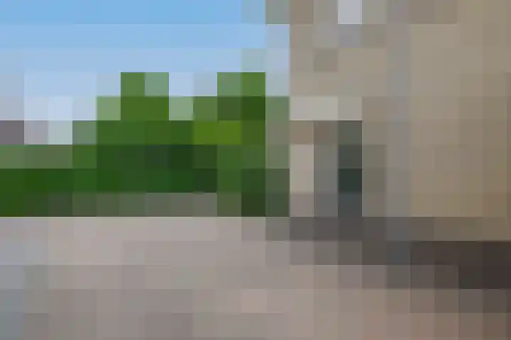 Dassenwissel 33 Winschoten thumbnail 43