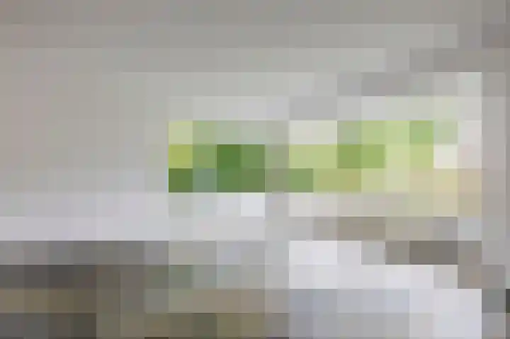Dassenwissel 33 Winschoten thumbnail 6