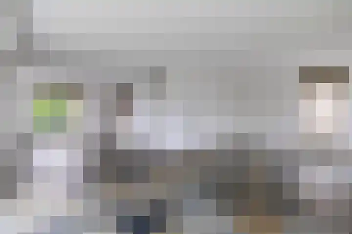 Dassenwissel 33 Winschoten thumbnail 8
