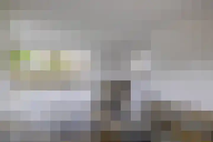 Dassenwissel 33 Winschoten thumbnail 9
