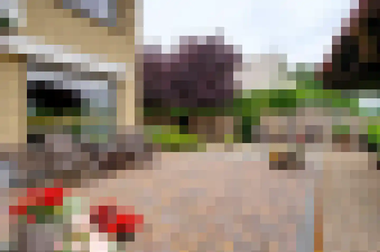 Dassenwissel 37 Winschoten thumbnail 12