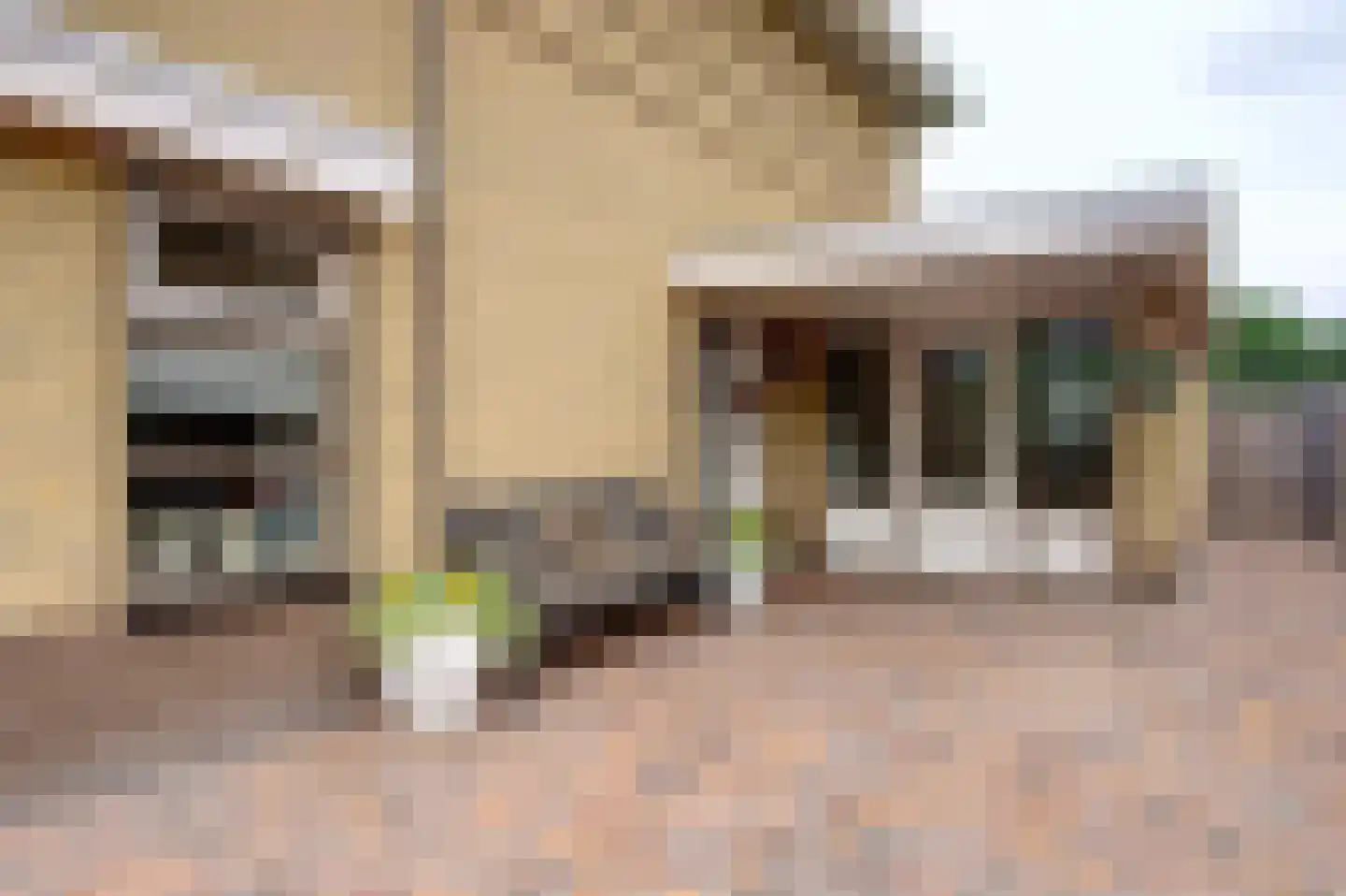 Dassenwissel 37 Winschoten thumbnail 13