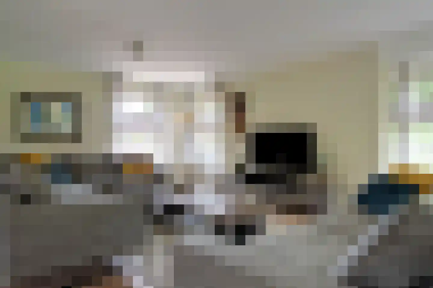 Dassenwissel 37 Winschoten thumbnail 16