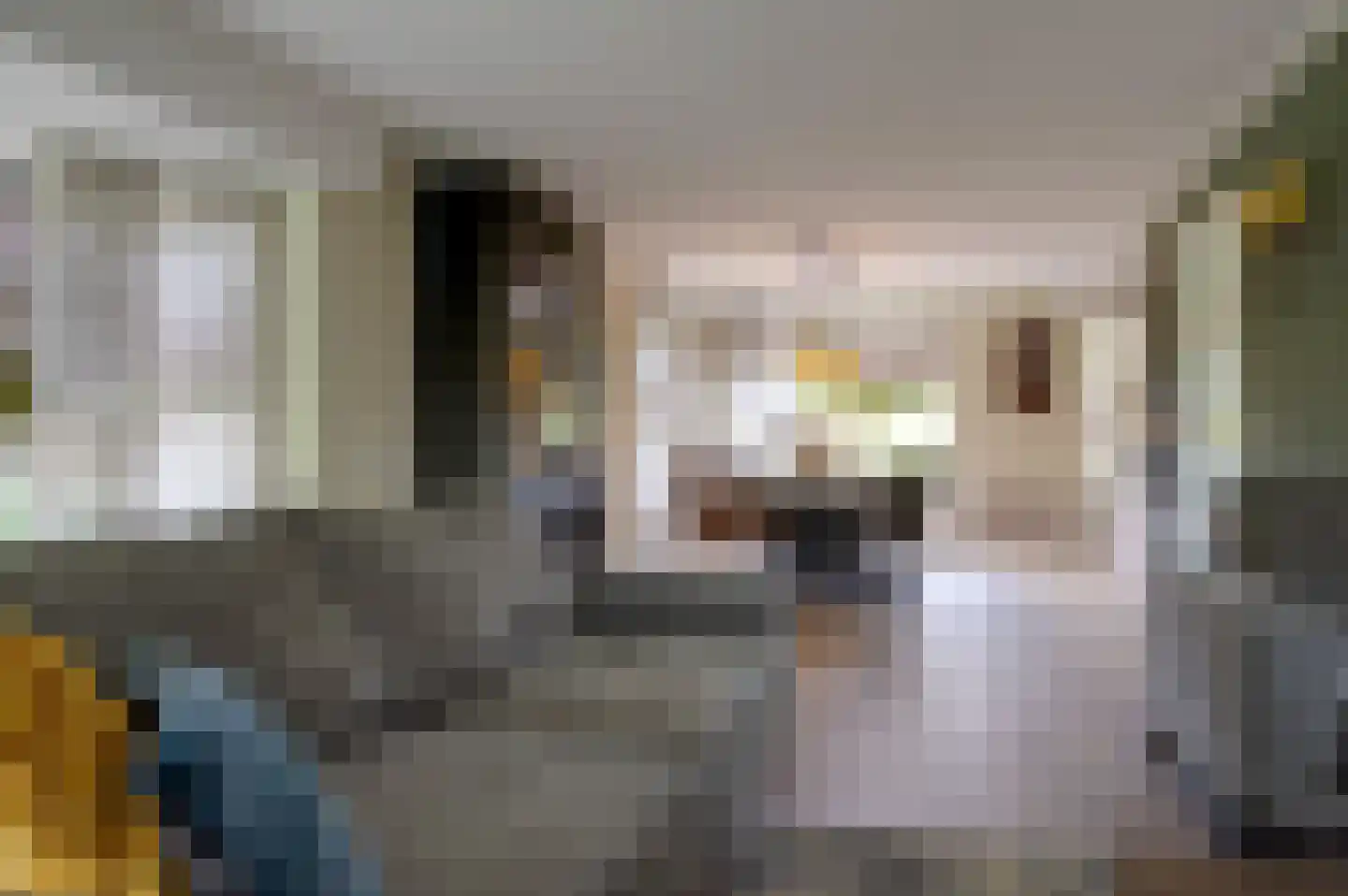 Dassenwissel 37 Winschoten thumbnail 21