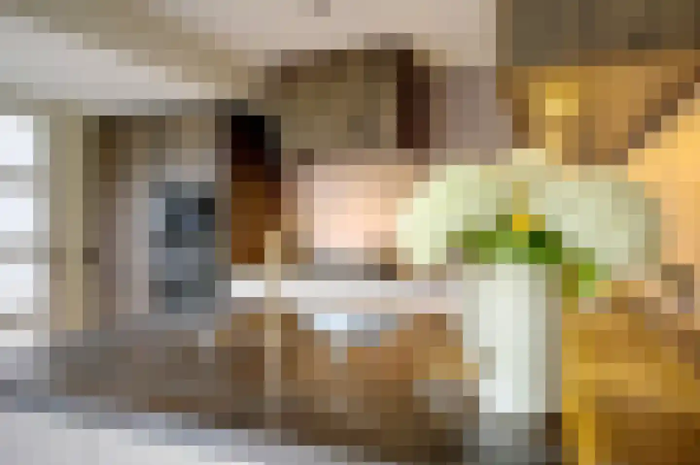 Dassenwissel 37 Winschoten thumbnail 27