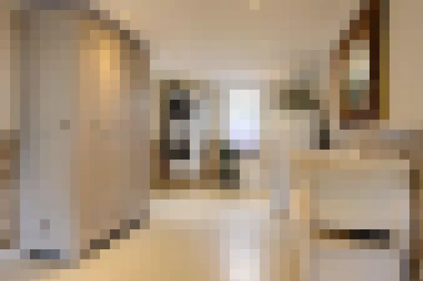 Dassenwissel 37 Winschoten thumbnail 34
