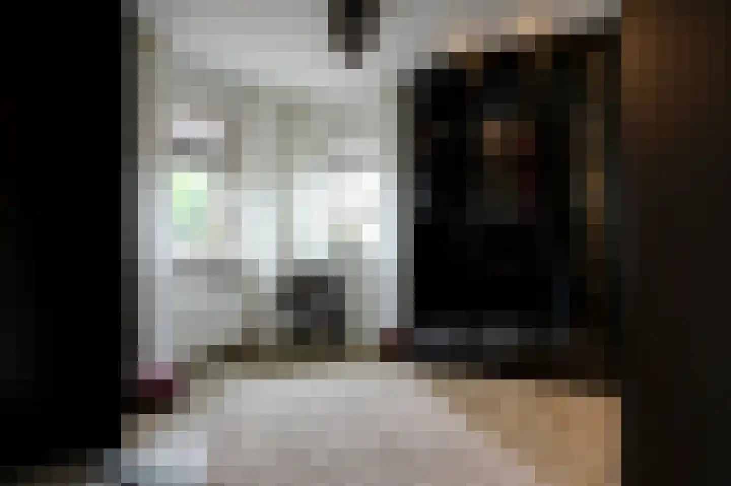 Dassenwissel 37 Winschoten thumbnail 39