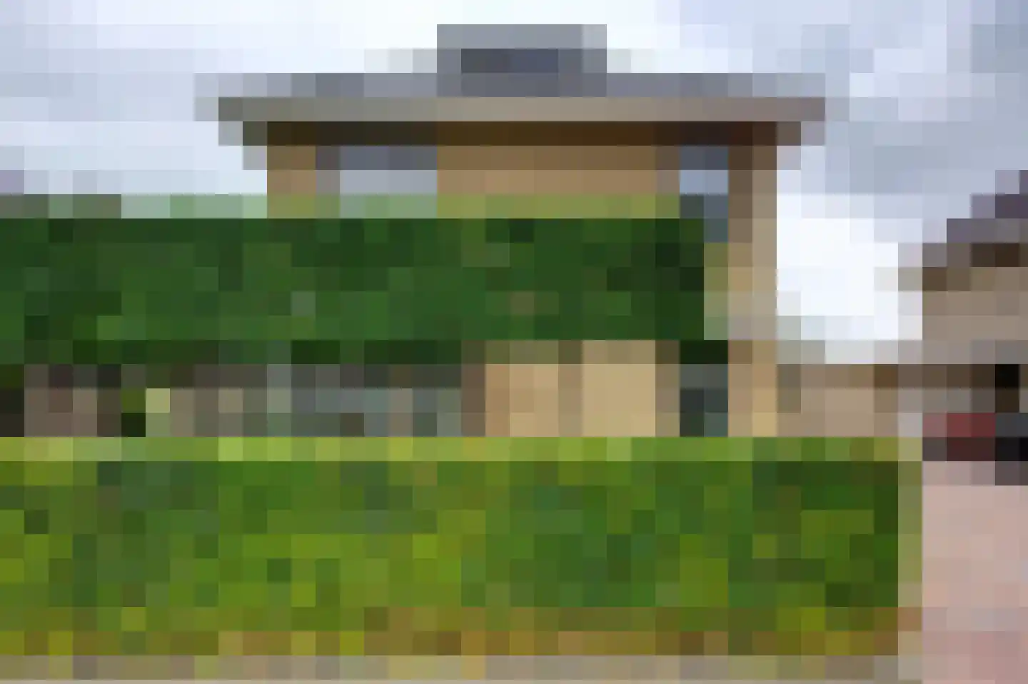 Dassenwissel 37 Winschoten thumbnail 4