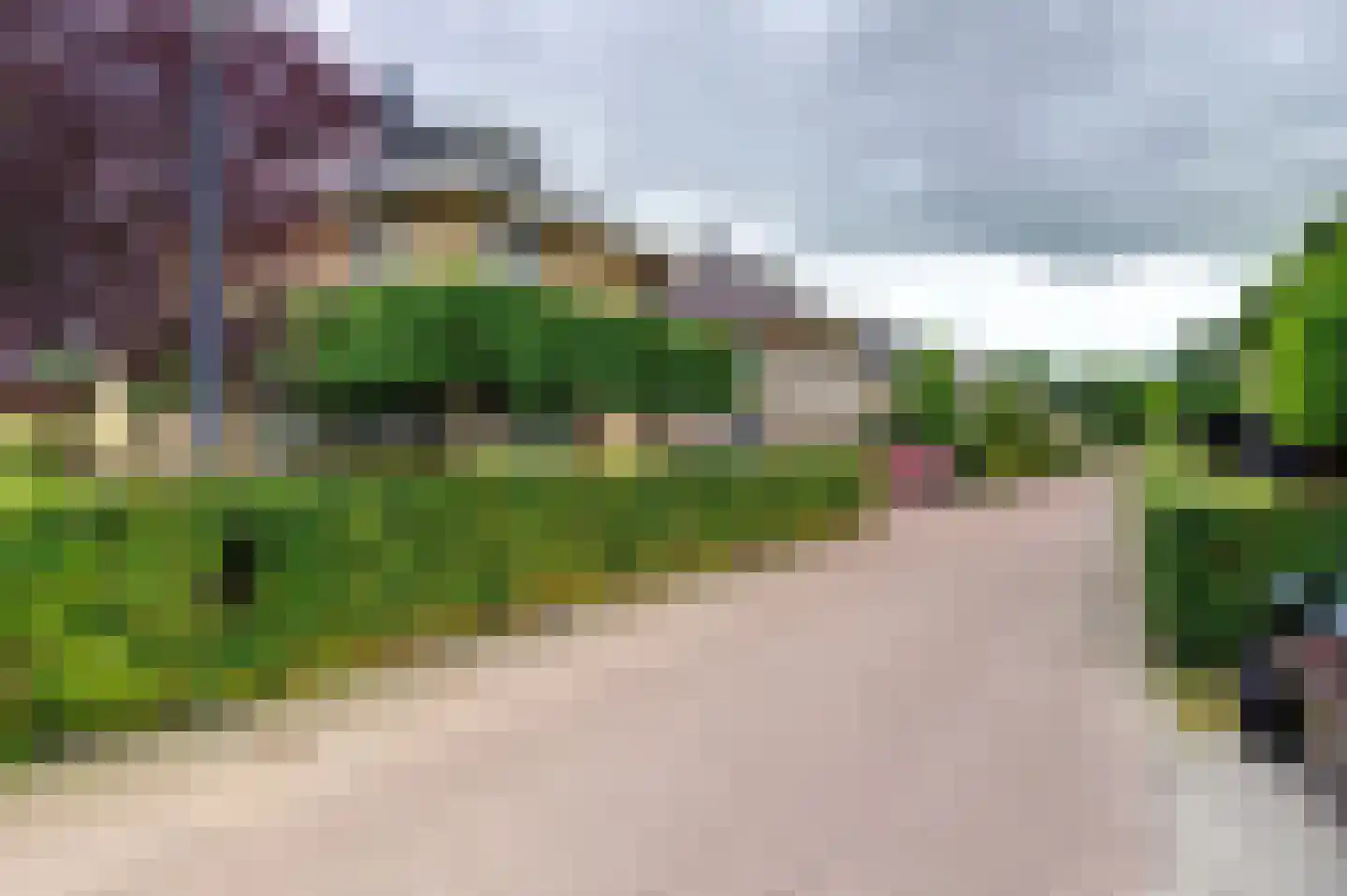 Dassenwissel 37 Winschoten thumbnail 49