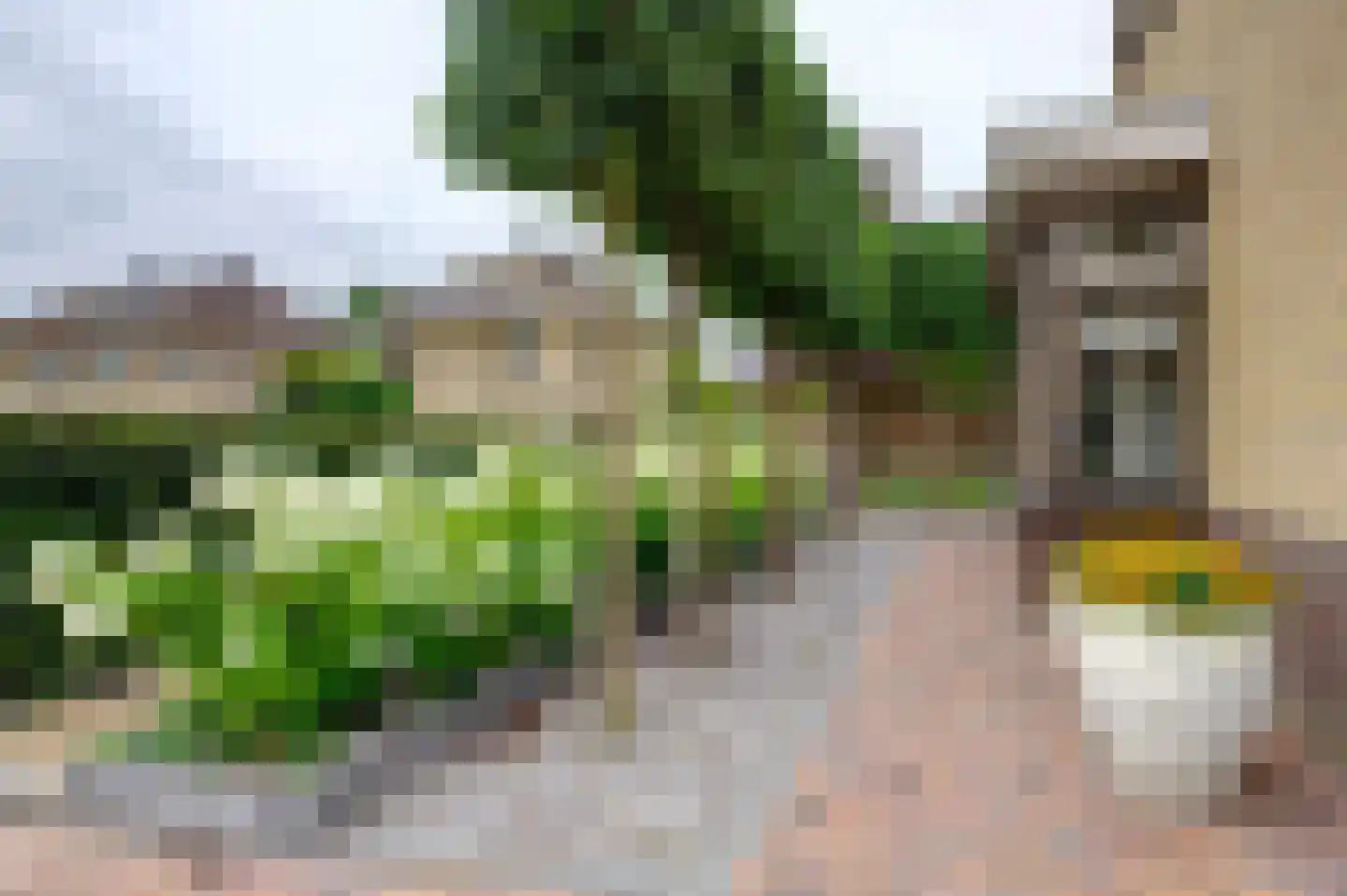 Dassenwissel 37 Winschoten thumbnail 5
