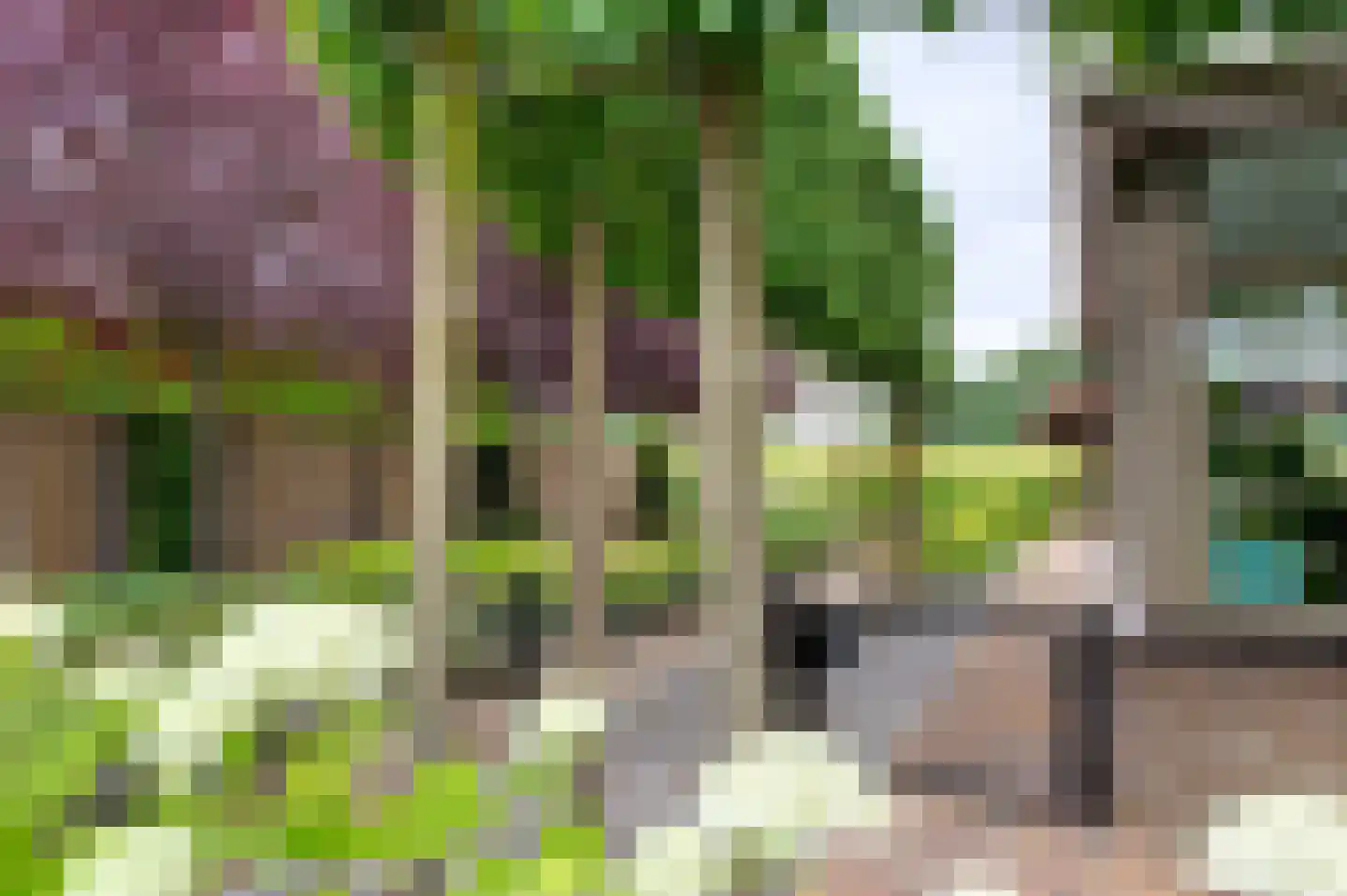 Dassenwissel 37 Winschoten thumbnail 52