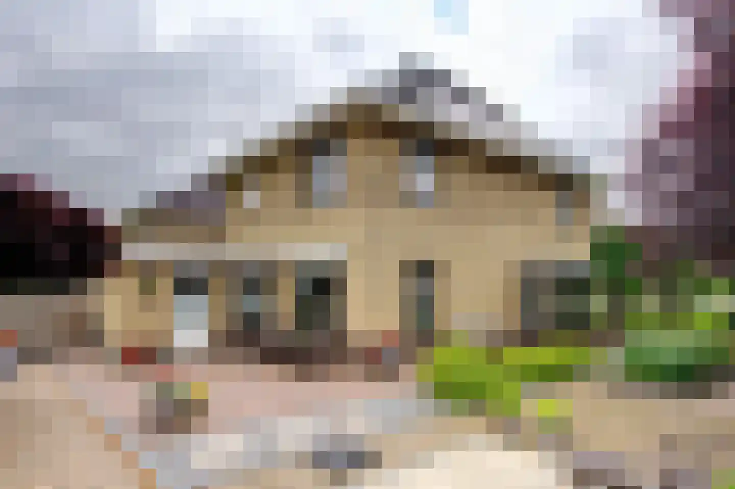 Dassenwissel 37 Winschoten thumbnail 53