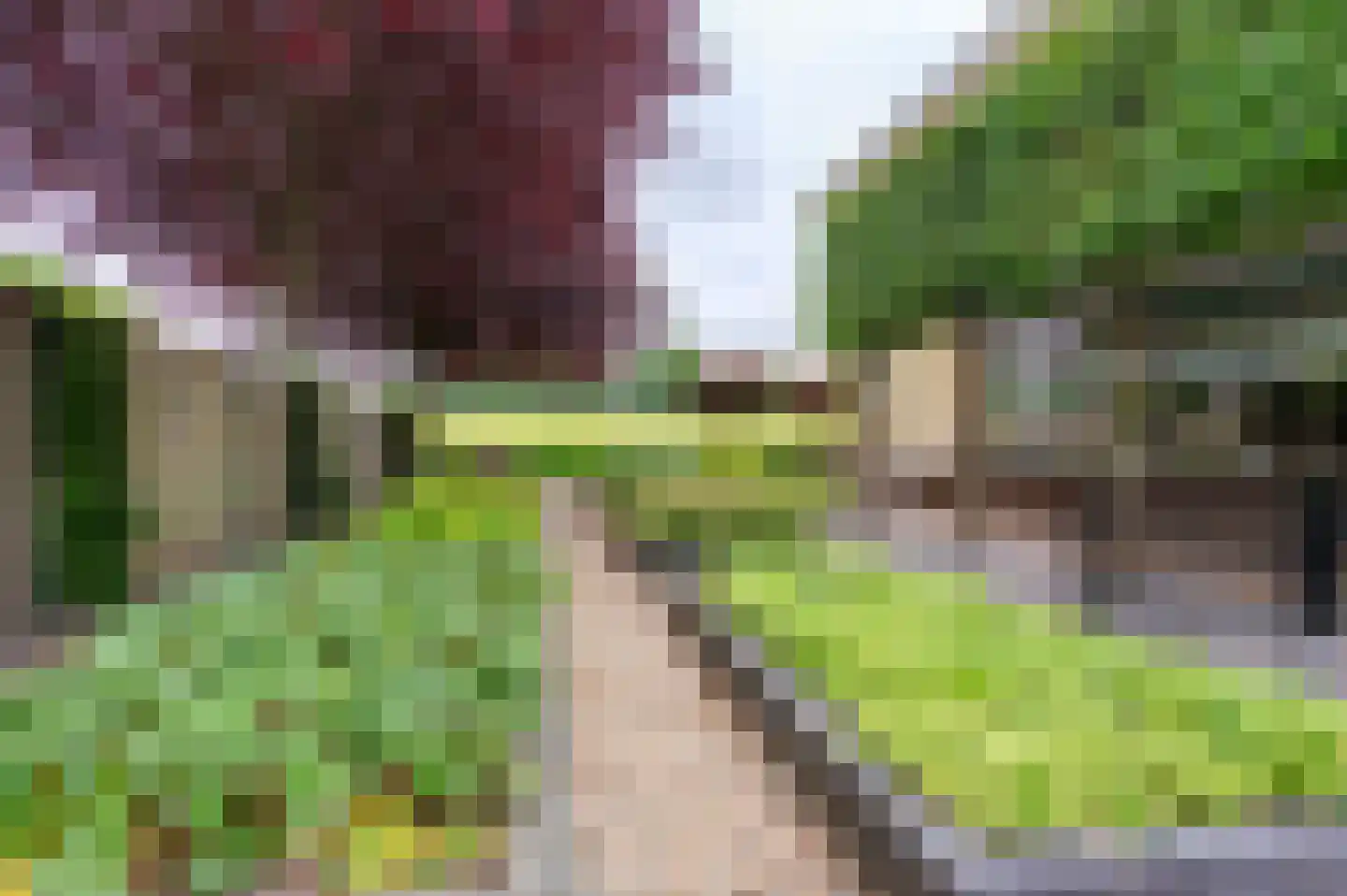 Dassenwissel 37 Winschoten thumbnail 6