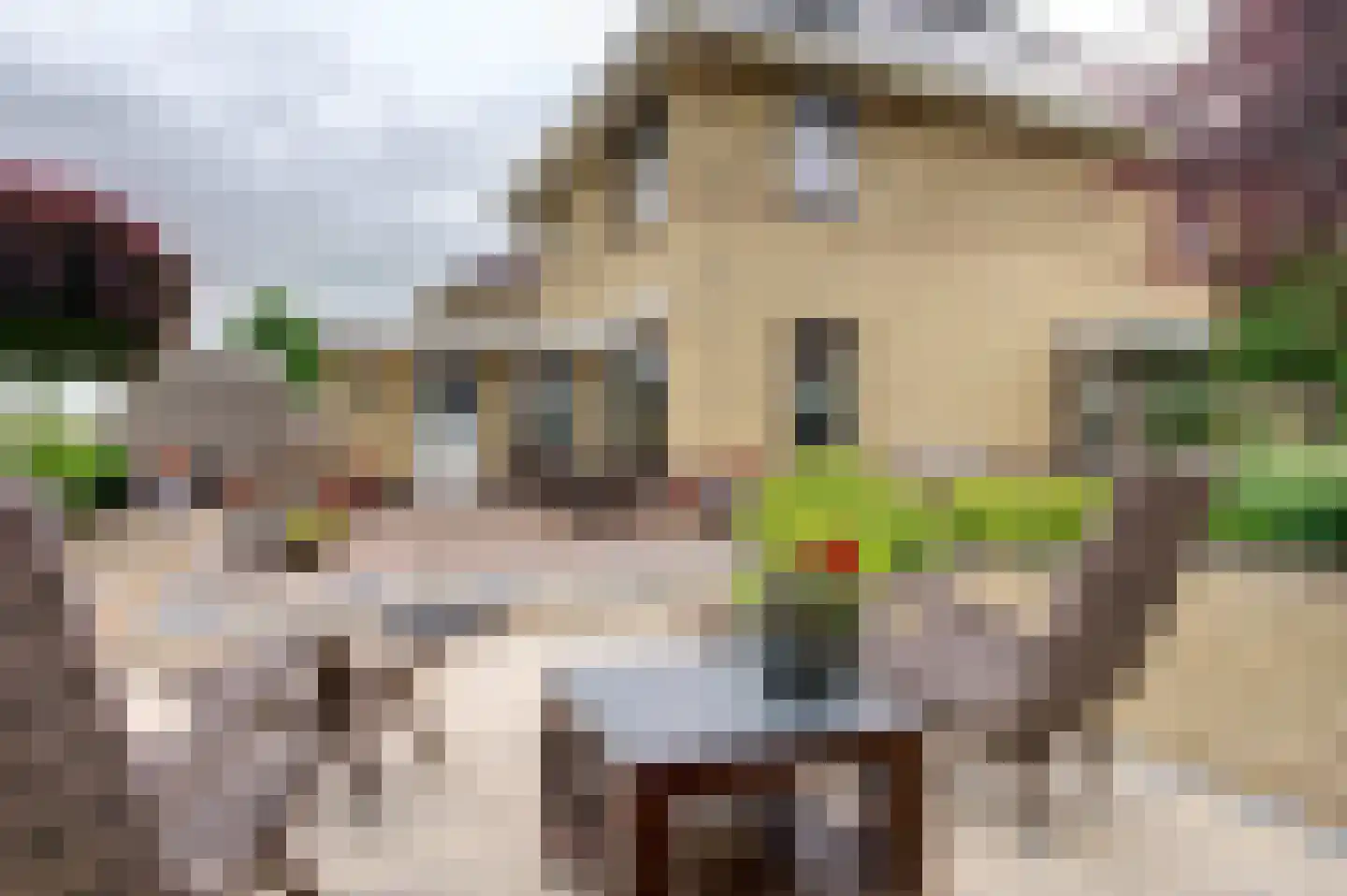 Dassenwissel 37 Winschoten thumbnail 8