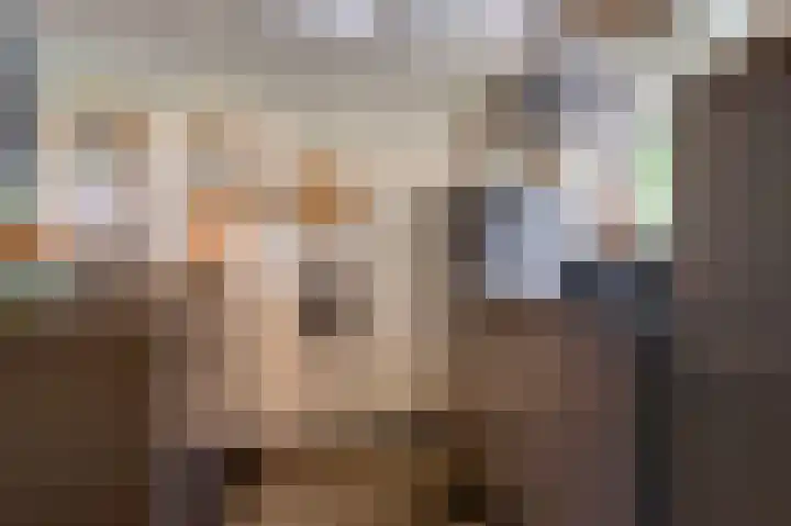 Dassenwissel 5 Winschoten thumbnail 19
