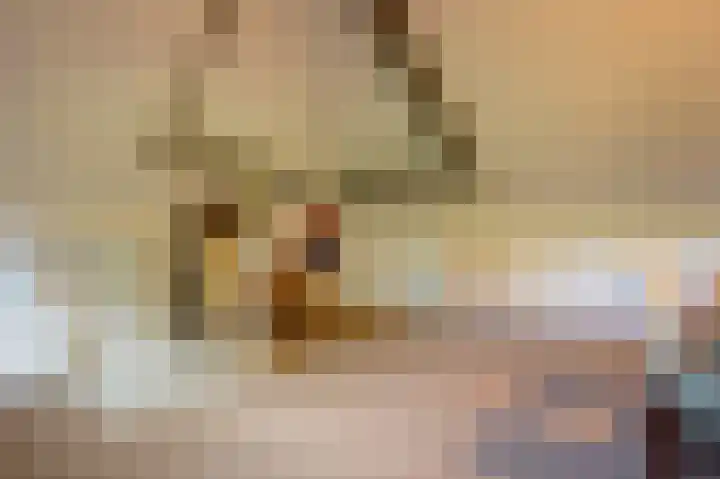 Dassenwissel 5 Winschoten thumbnail 31