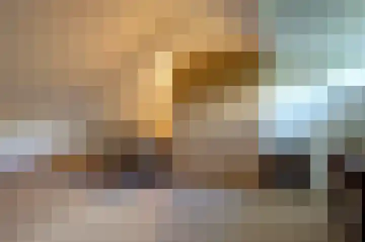 Dassenwissel 5 Winschoten thumbnail 32
