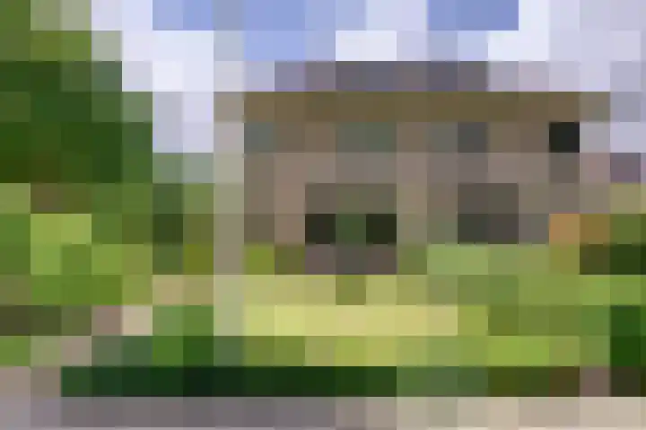 Dassenwissel 5 Winschoten thumbnail 33