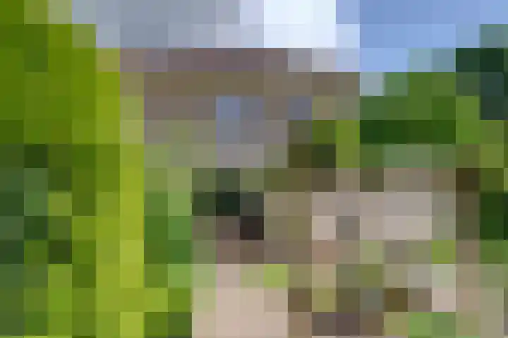 Dassenwissel 5 Winschoten thumbnail 35
