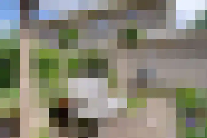 Dassenwissel 5 Winschoten thumbnail 36
