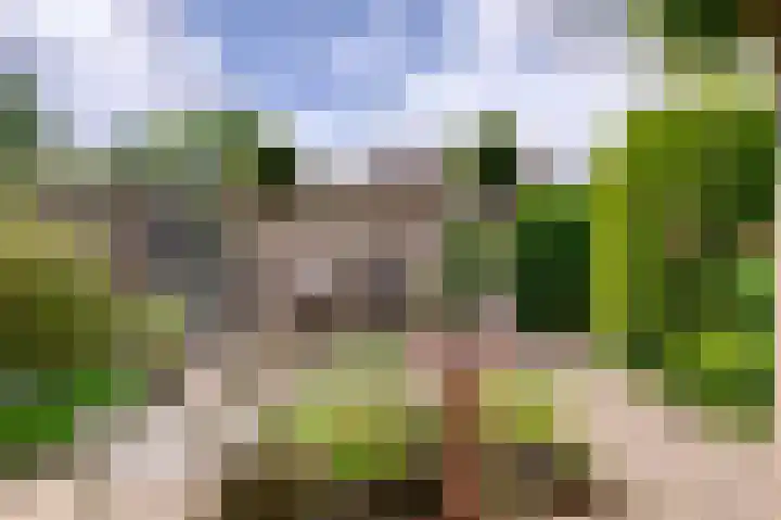 Dassenwissel 5 Winschoten thumbnail 37