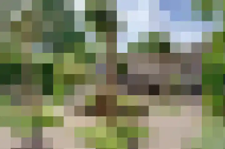 Dassenwissel 5 Winschoten thumbnail 7