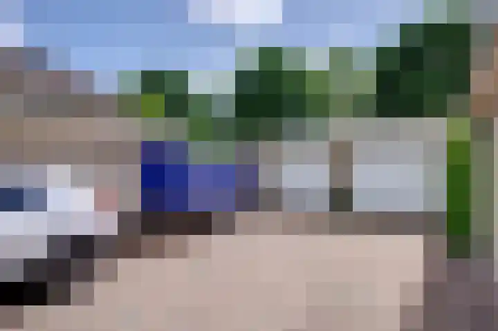 Dassenwissel 5 Winschoten thumbnail 8