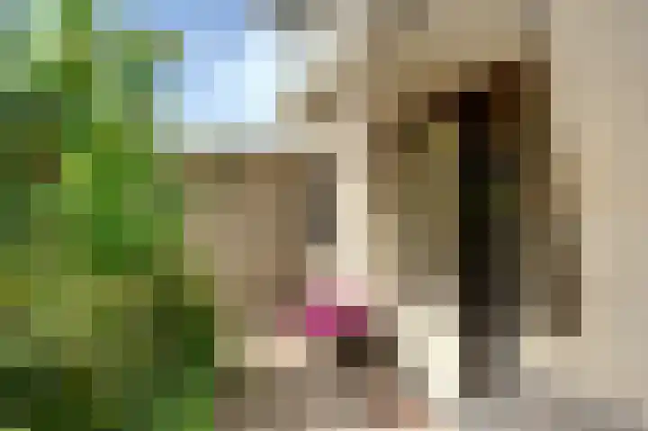 Dassenwissel 5 Winschoten thumbnail 9