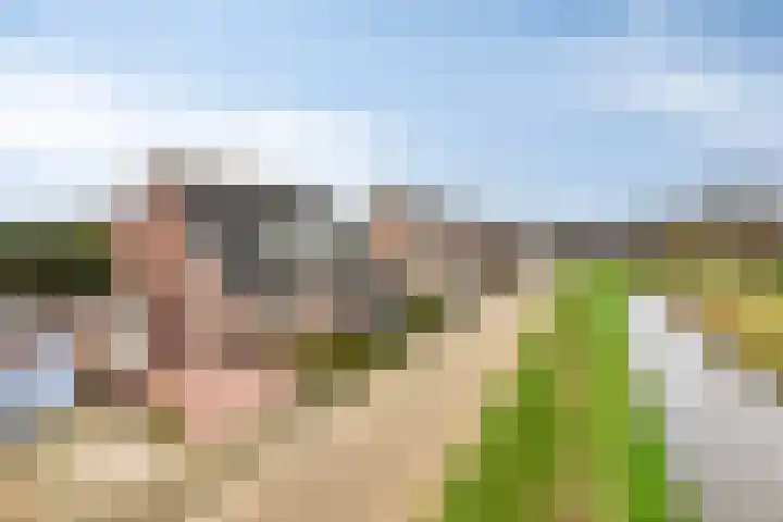Dasseweide 13 Veghel thumbnail 11