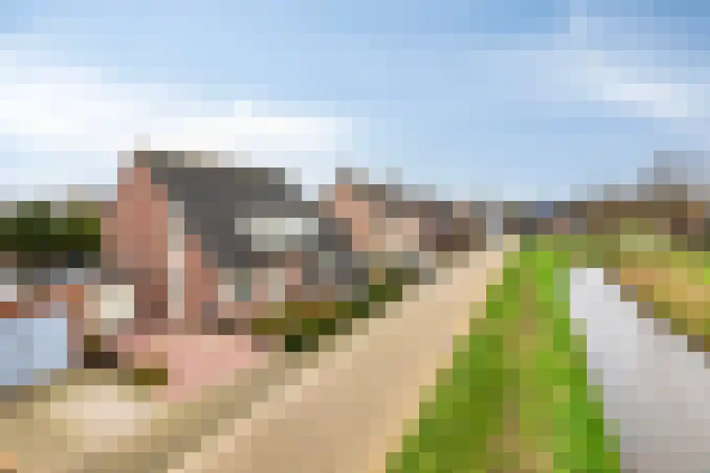 Dasseweide 13 Veghel thumbnail 11