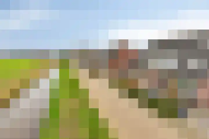 Dasseweide 13 Veghel thumbnail 12