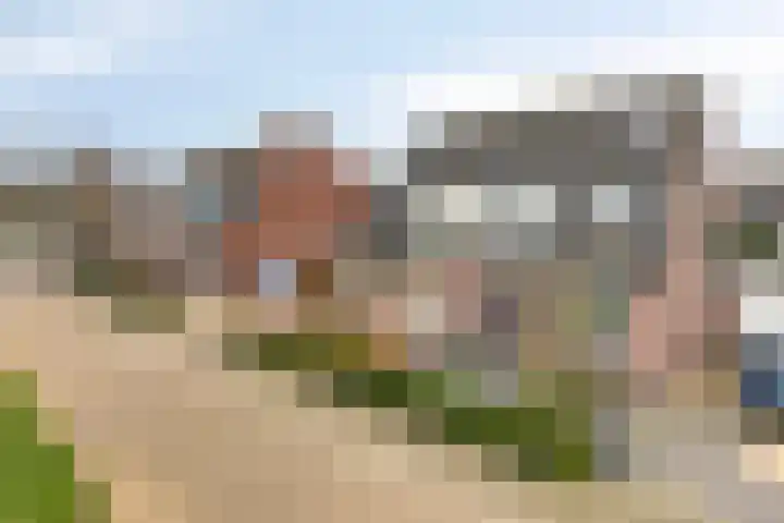 Dasseweide 13 Veghel thumbnail 13