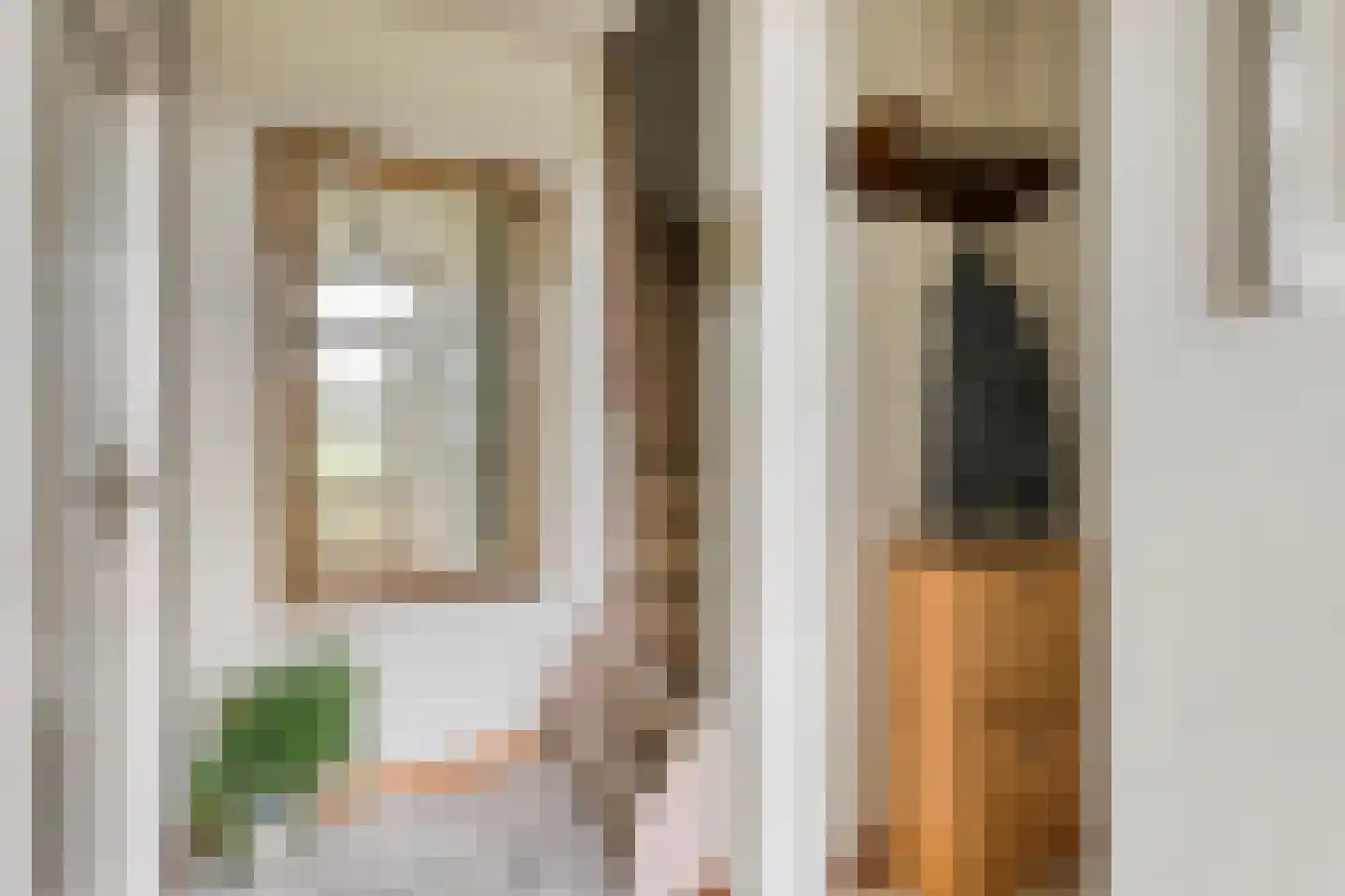 Dasseweide 13 Veghel thumbnail 15