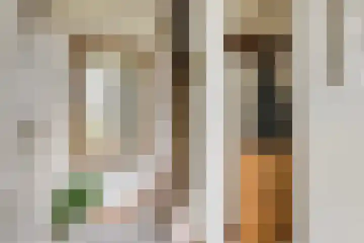 Dasseweide 13 Veghel thumbnail 15