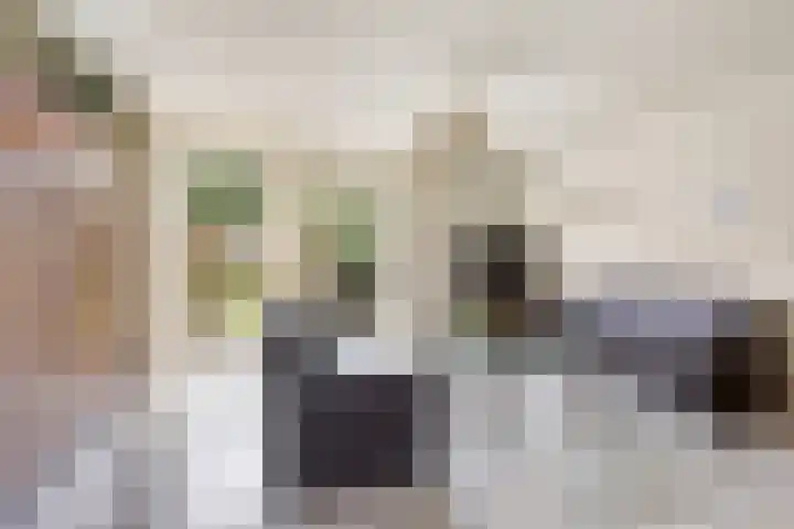 Dasseweide 13 Veghel thumbnail 17