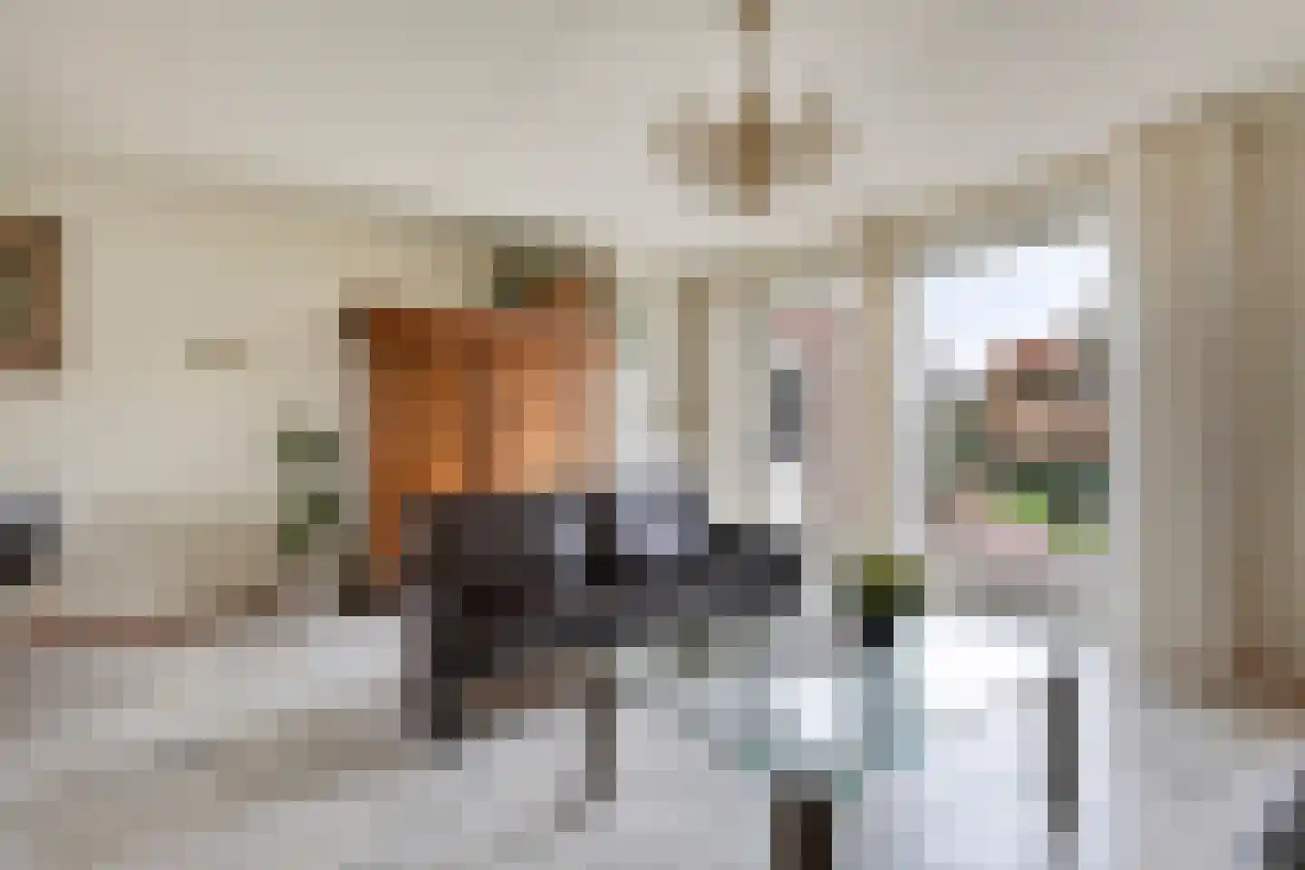 Dasseweide 13 Veghel thumbnail 19