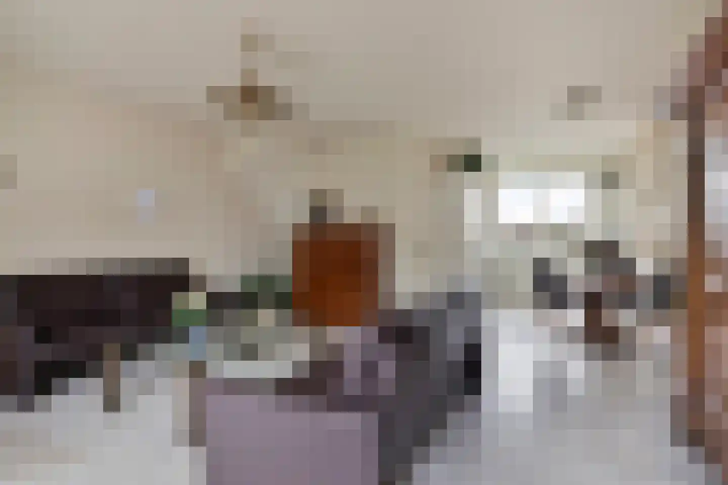 Dasseweide 13 Veghel thumbnail 20