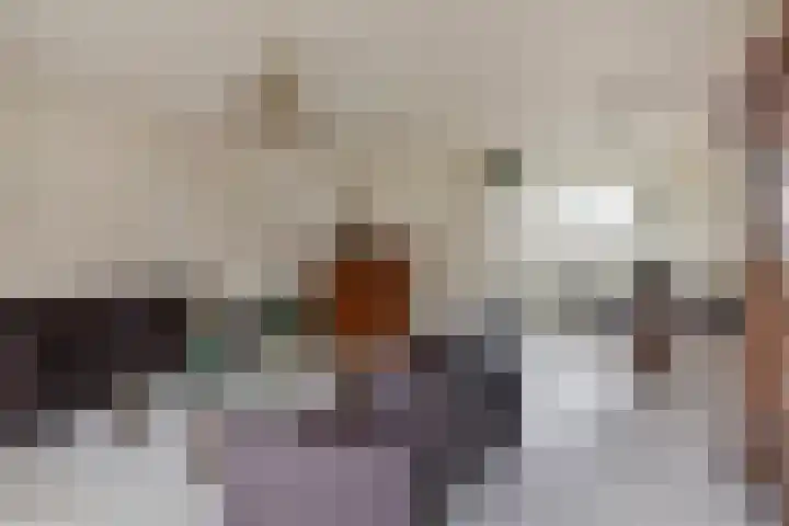 Dasseweide 13 Veghel thumbnail 20