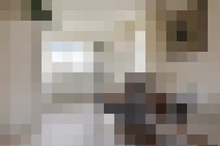Dasseweide 13 Veghel thumbnail 23