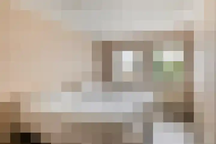 Dasseweide 13 Veghel thumbnail 27