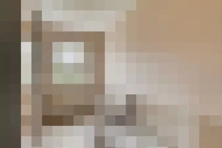 Dasseweide 13 Veghel thumbnail 29